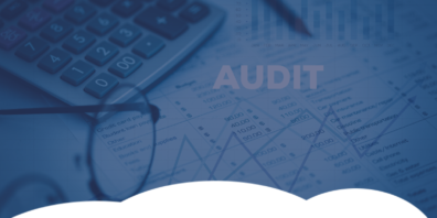 Maintenance and Auditing Solution - our SA Government case study