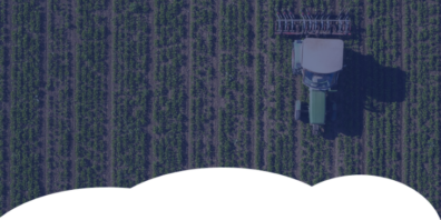 Mitolo Family Farms – Data and Analytics Strategy